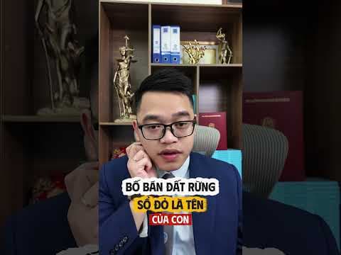 bố bán đất rừng sổ đỏ là tên của con thì có đòi lại được không? | Luật sư Quân